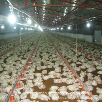 Maquinaria agrícola Chiken automática para pollo de engorde